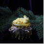 Witch's Cauldron Candle for protection
