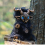 Aeris the imp doll