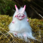 Azazel doll companion (Albino)