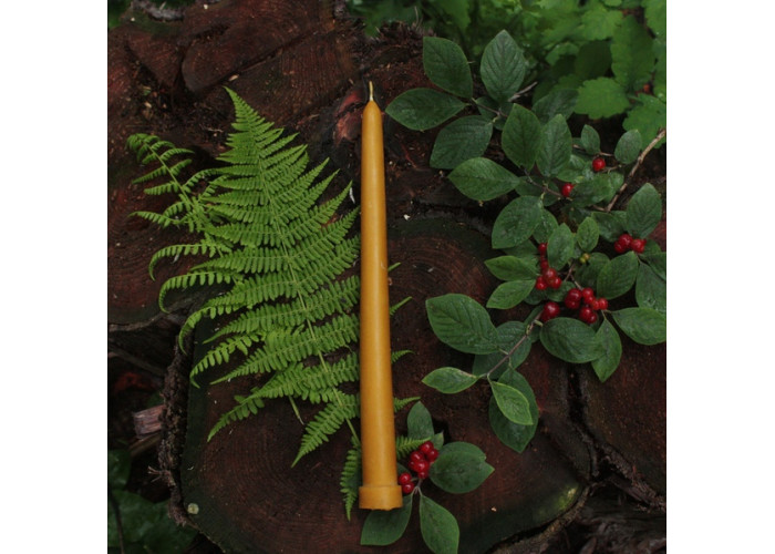 Canonical figured wax candles