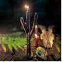 The candle of success and determination - “Runic Gren of Victory”