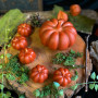 Giant pumpkin curly wax candle