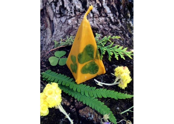 Candle "Golden Clover" that will attract good luck and money