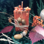 The "Mabon Harvest" ​candle to attract wealth and to celebrate the autumn equinox
