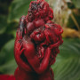 «Lovers». The candle that makes your partner desire you
