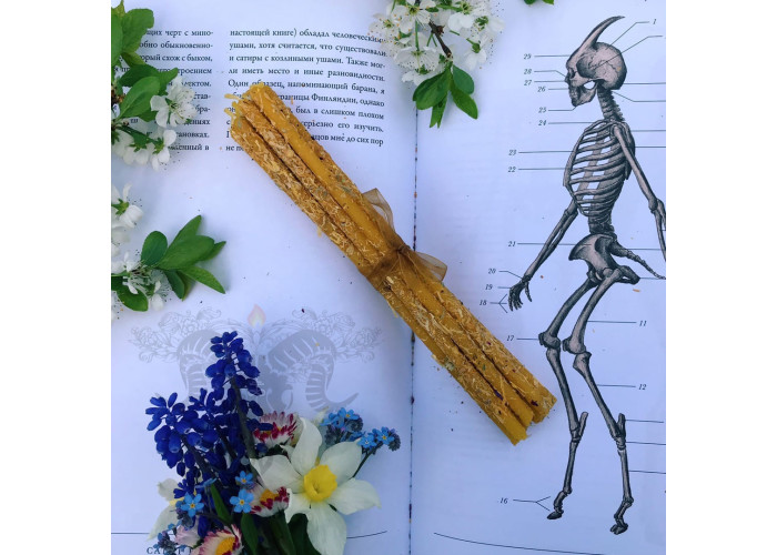 Thin Floral Wax Candles with Calendula