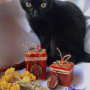 Candle "On Soft Paws" to protect your pets