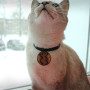 Candle "On Soft Paws" to protect your pets