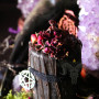 Pentagram - Altar candle with rose, lemon balm and essential oils